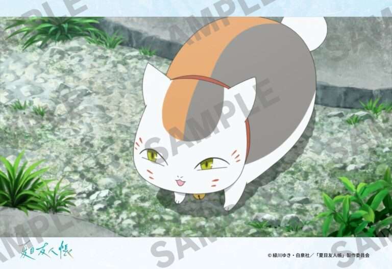 第七期_23
